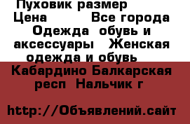 Пуховик размер 42-44 › Цена ­ 750 - Все города Одежда, обувь и аксессуары » Женская одежда и обувь   . Кабардино-Балкарская респ.,Нальчик г.